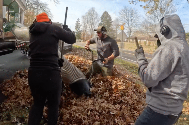 Fall leaf cleanup team collaborating to clear yards efficiently.