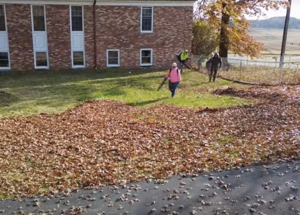 autumn leaf cleanup at residential property