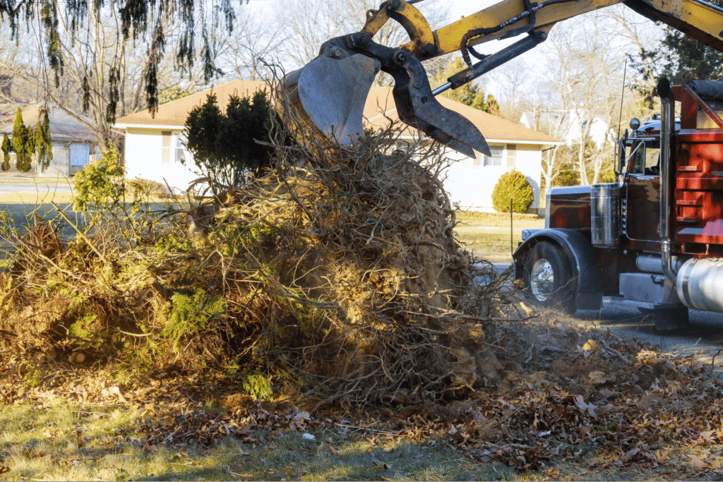 Professional tree removal service clearing debris and landscaping in residential area.