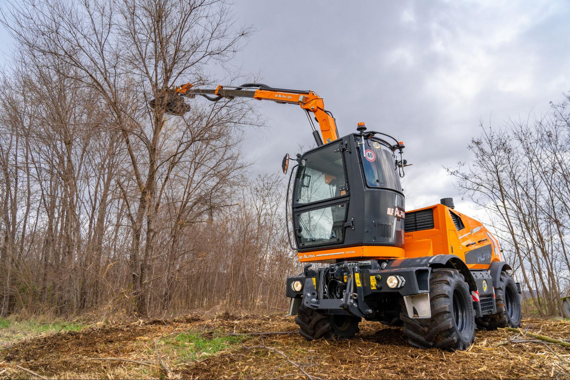 Tree trimming machinery clearing branches in a forested area.