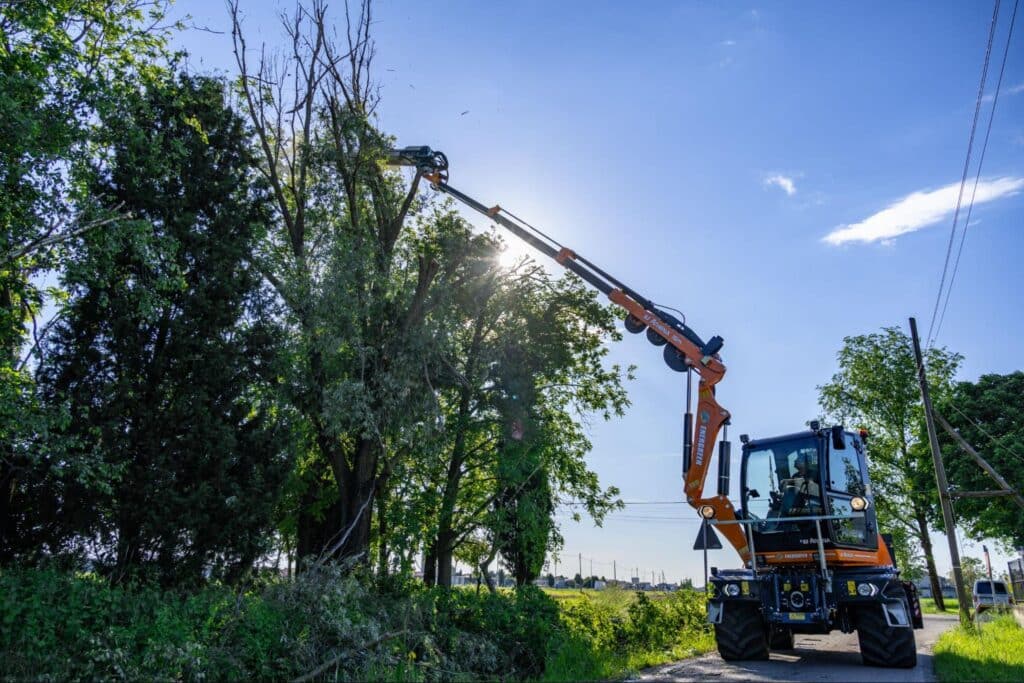 Efficient tree trimming using Energreen equipment in a rural setting under clear skies.